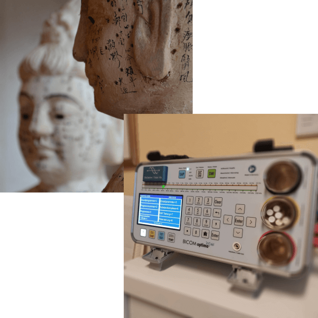 Aktionspreis in der Naturheilpraxis Katja Winter