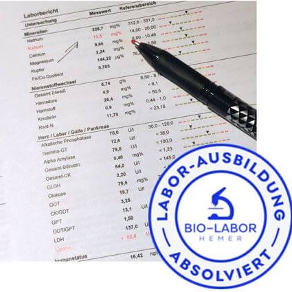 Aktionspreis in der Naturheilpraxis Katja Winter